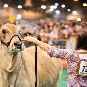 Meet your Posher, Stella